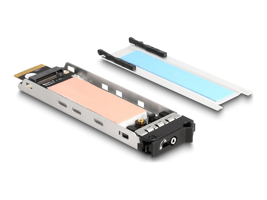 [47037] Delock Festplattenfach - M.2 NVMe Card