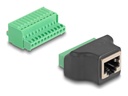 Delock Netzwerkadapter - RJ-50 (W) zu 11-polige