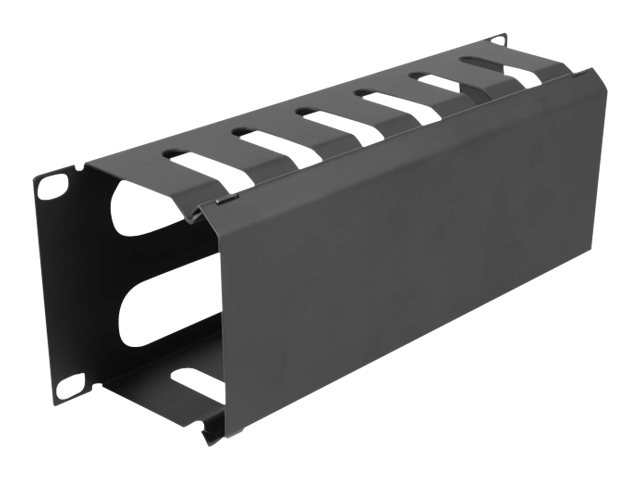 Delock Verlegetafel für Rack-Kabelmanagement - mit 2 Öffnungen - Schwarz - 1U - 25.4 cm (10")