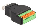 Delock USB-Adapter - USB Typ A (W) zu 10-poliger