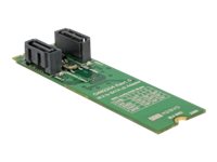 Delock Speichercontroller (RAID) - 2 Sender/Kanal