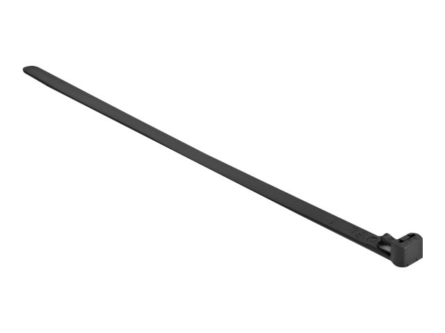 Delock Kabelbinder - hitzebeständig, wiederverwendbar - 15 cm - Schwarz (Packung mit 100)