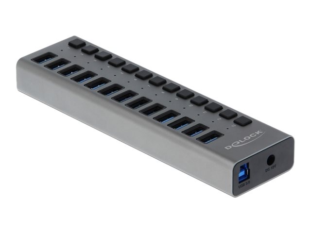 Delock Hub - 13 x SuperSpeed USB 3.0 - Desktop