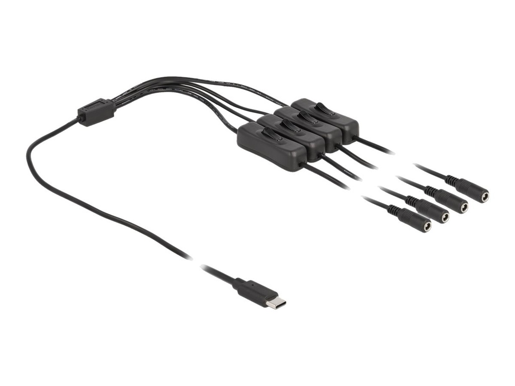 Delock Netz-Splitter - 24 pin USB-C (M) zu Gleichstromstecker 5,5 x 2,1 mm (W)