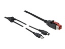 Delock Powered USB-Kabel - USB PlusPower (24 V)