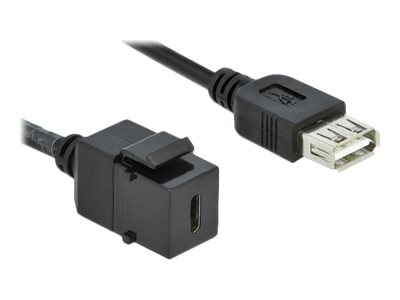 Delock Modulare Eingabe - USB Typ C - Schwarz