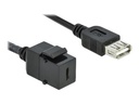 Delock Modulare Eingabe - USB Typ C - Schwarz