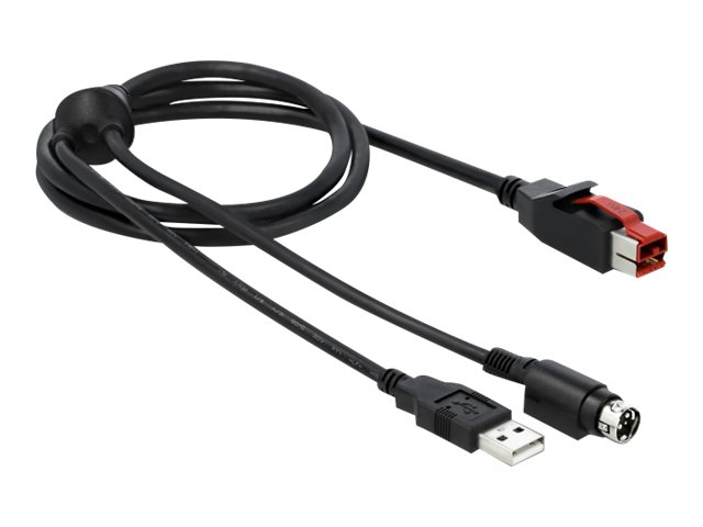 Delock Powered USB-Kabel - USB PlusPower (24 V)