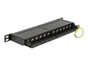 Delock Patch Panel - CAT 6a - RJ-45 X 12 - Jet Black, RAL 9005 - 0.5U - 25.4 cm (10")