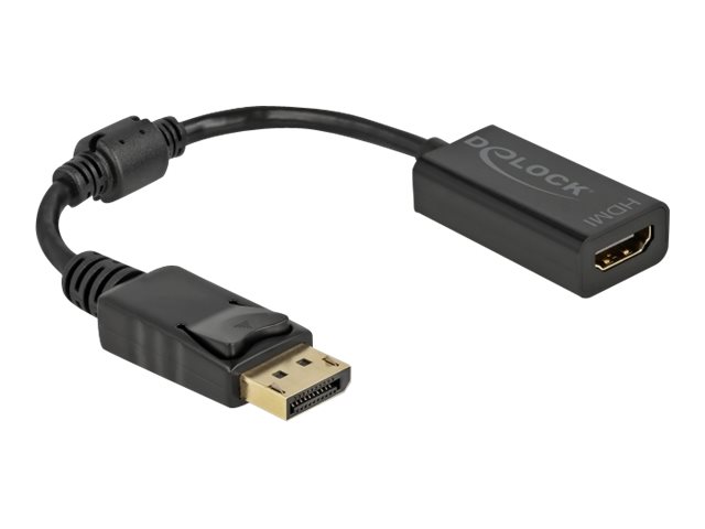 Delock Videoadapter - DisplayPort männlich