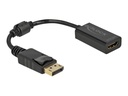 Delock Videoadapter - DisplayPort männlich