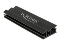 Delock Solid State Drive Kühlkörper - Schwarz