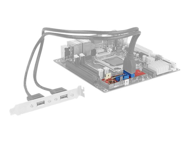 Delock Converter M.2 Key B+M male > 2 x USB 3.0 Pin Header - USB-Adapter - M.2 Card - USB 3.0 (intern)