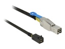 Delock SAS-Kabel intern zu extern - SAS 12Gbit/s - Mini SAS HD (SFF-8644)