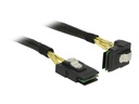 Delock Internes SAS-Kabel - SAS 6Gbit/s - Mini SAS (SFF-8087)