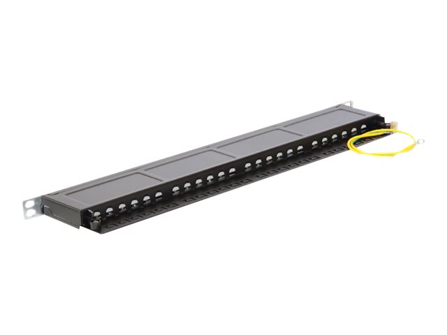 Delock Patch Panel - CAT 6 - RJ-45 X 24 - Jet Black, RAL 9005 - 0.5U - 48.3 cm (19")