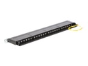 Delock Patch Panel - CAT 6 - RJ-45 X 24 - Jet Black, RAL 9005 - 0.5U - 48.3 cm (19")