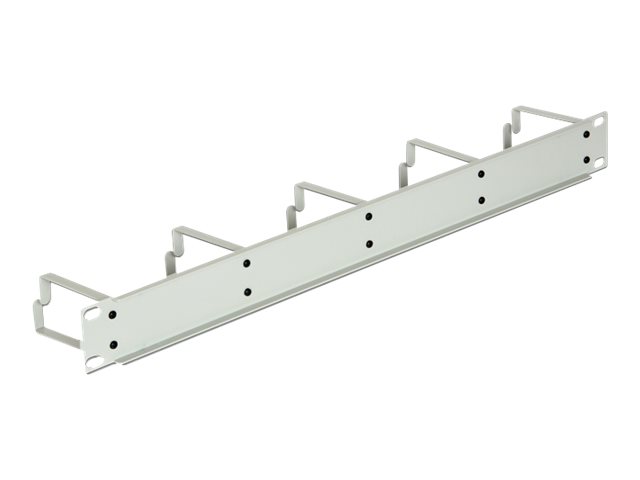 Delock Kabelmanagement - Hellgrau, RAL 7035 - 1U - 48.3 cm (19")