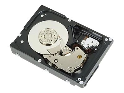 Dell  Festplatte - 1.2 TB - Hot-Swap - 2.5" (6.4 cm)