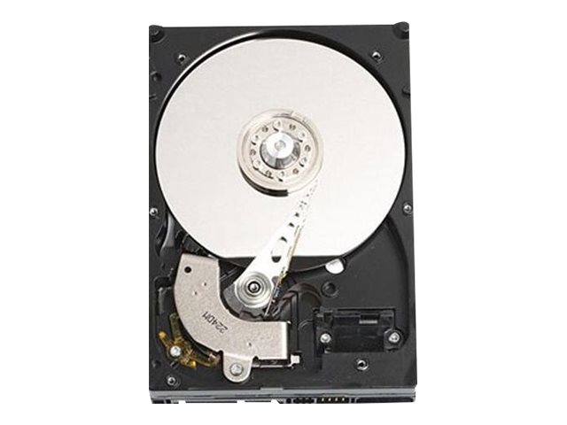 Dell  Festplatte - 2 TB - intern - 3.5" (8.9 cm)
