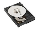 Dell  Festplatte - 3 TB - Hot-Swap - 3.5" (8.9 cm)