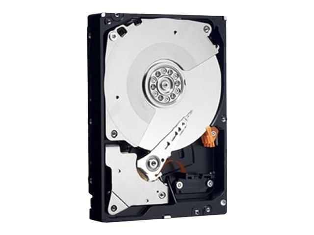 Dell  Festplatte - 3 TB - intern - 3.5" (8.9 cm)