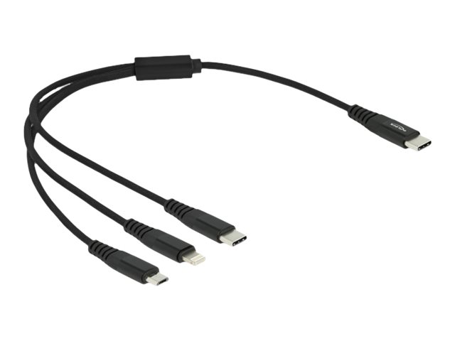 Delock 3 in 1 - Kabel nur zum Laden - 24 pin