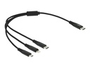 Delock 3 in 1 - Kabel nur zum Laden - 24 pin