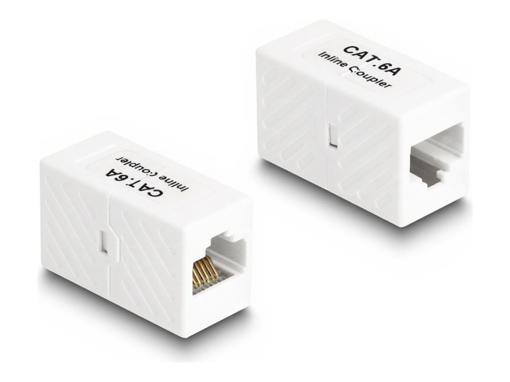 Delock Netzwerkkoppler - RJ-45 (W) zu RJ-45 (W)
