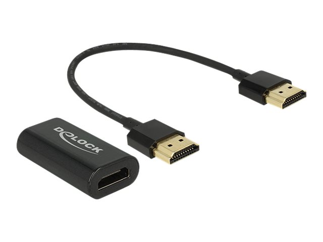 Delock Videokonverter - HDMI - VGA - retail