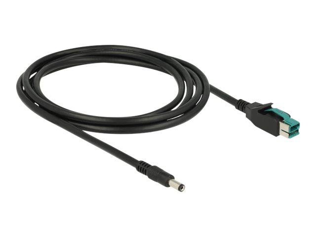 Delock Powered USB-Kabel - USB PlusPower (12 V)