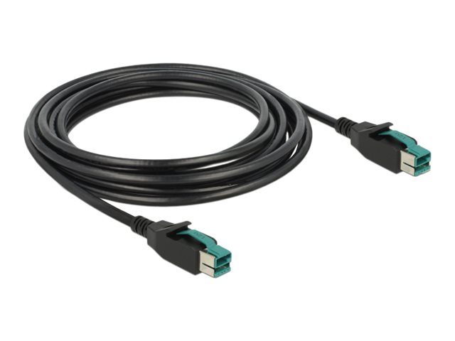 Delock Powered USB-Kabel - USB PlusPower (12 V)