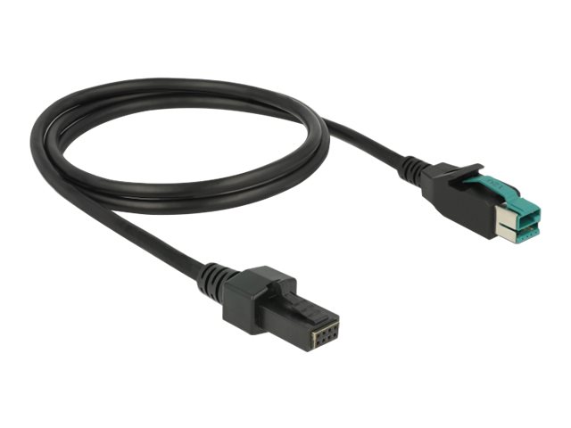 Delock Powered USB-Kabel - USB PlusPower (12 V)