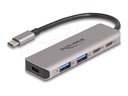 Delock Hub - 2 x USB-C + 2 x USB + 1 x USB-C (Spannungsversorgung)