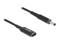 Delock Adapter für Power Connector - USB-C (nur Spannung)