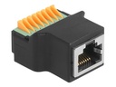 Delock Netzwerkadapter - RJ-45 (W) zu Klemmleiste