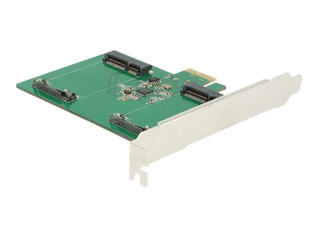Delock Speicher-Controller - 2 Sender/Kanal