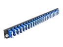 Delock Rack-Montageblech für Glasfaser-Spleißbox - Vorderseite - LC SM X 24 - Blau - 1U - 48.3 cm (19")