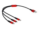 Delock 3 in 1 - Kabel nur zum Laden - USB männlich