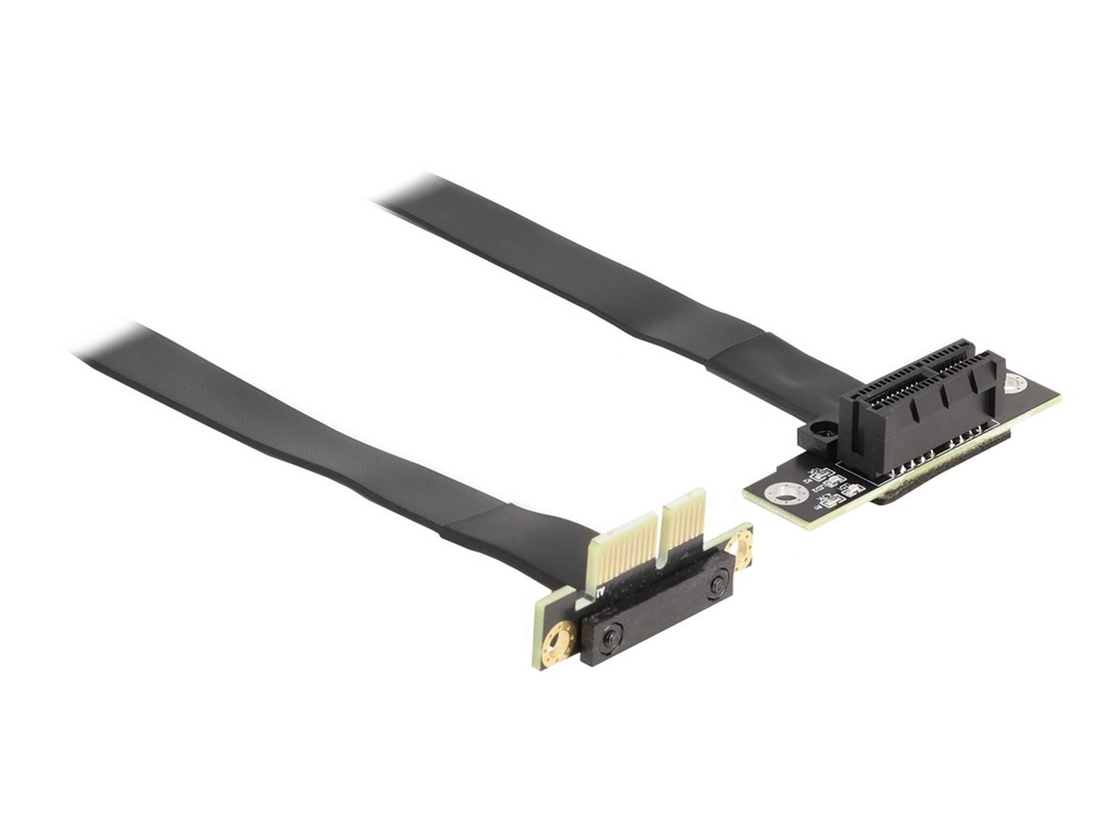 Delock Riser Card