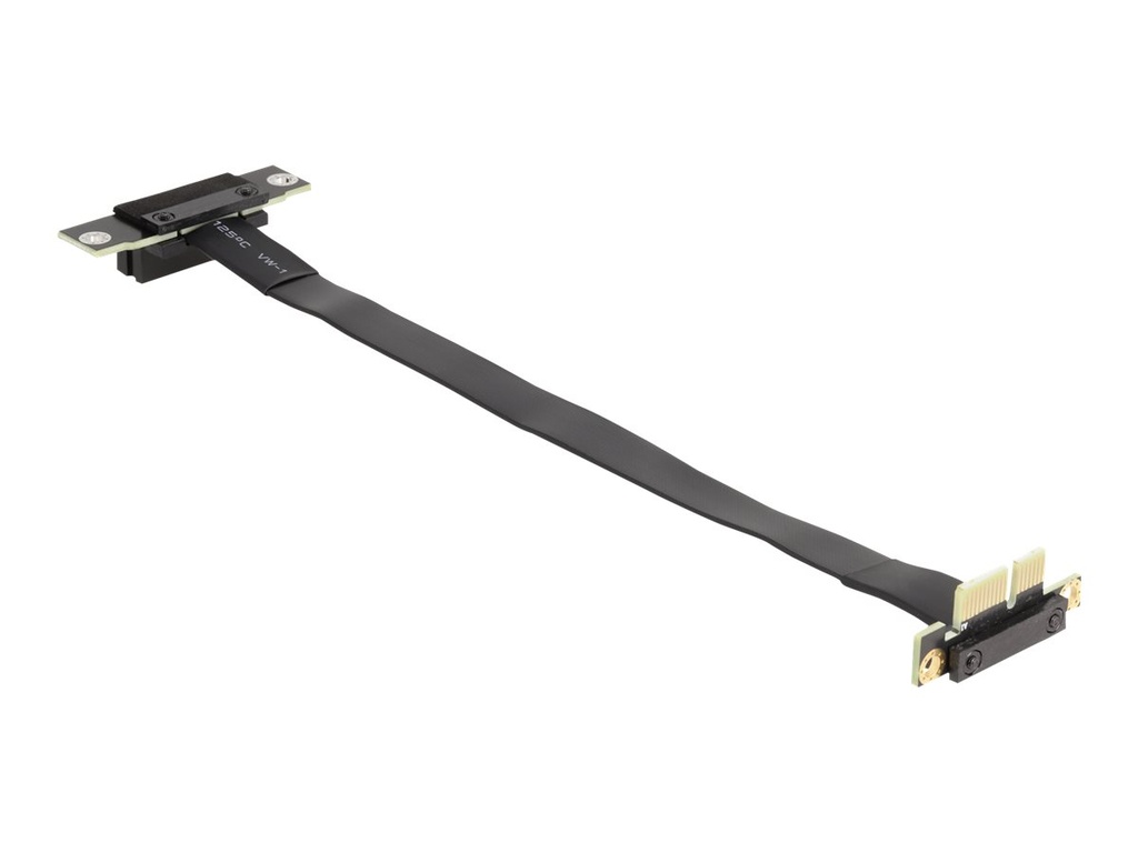 Delock Riser Card