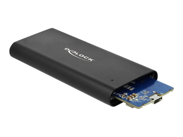 Delock Speichergehäuse - M.2 - M.2 NVMe Card - USB 3.1 (Gen 2)