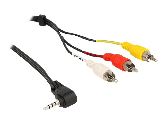 Delock Video- / Audiokabel - Composite Video