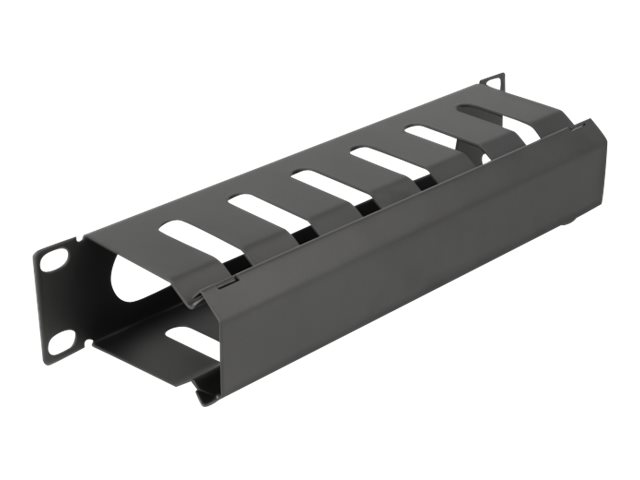 Delock Verlegetafel für Rack-Kabelmanagement - mit Öffnung - Schwarz - 1U - 25.4 cm (10")
