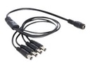 Delock Netz-Splitter - Gleichstromstecker 5,5 x 2,1 mm (M)