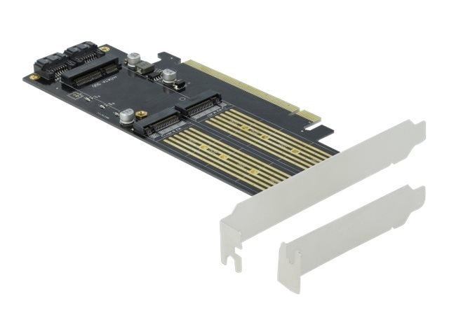 Delock Speicher-Controller - mSATA, M.2 - M.2 Card / mSATA