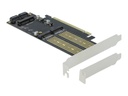 Delock Speicher-Controller - mSATA, M.2 - M.2 Card / mSATA