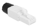 Delock Netzwerkanschluss - RJ-45 (M) - UTP