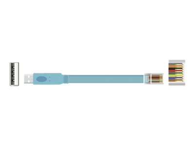 Delock Kabel seriell - USB (M) zu RJ-45 (M)