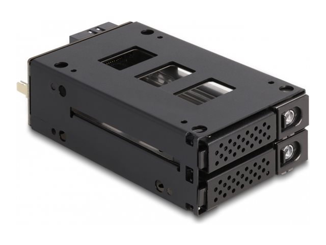 Delock Mobiles Speicher-Rack - schmaler Schacht - 5,25" bis 2 x 2,5" (13,3 cm bis 2 x 6,4 cm)